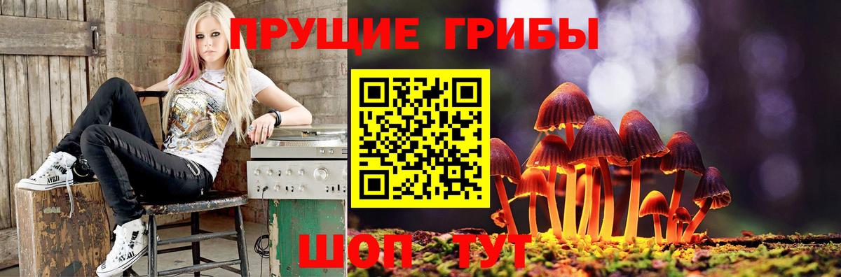Галлюциногенные грибы MAGIC MUSHROOMS Новосибирск